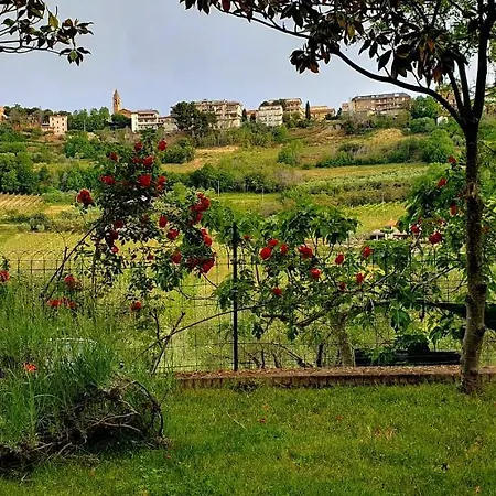 Land & Sea לינה וארוחת בוקר