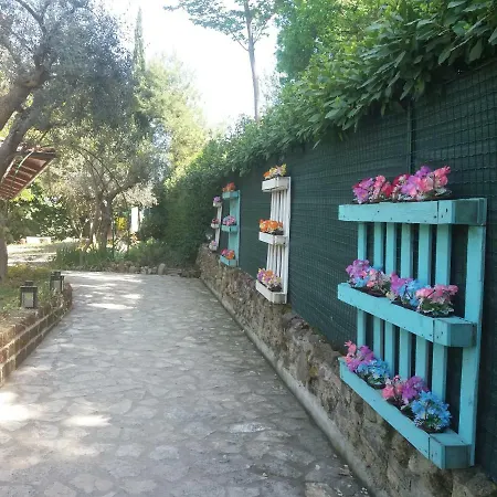 לינה וארוחת בוקר Land & Sea