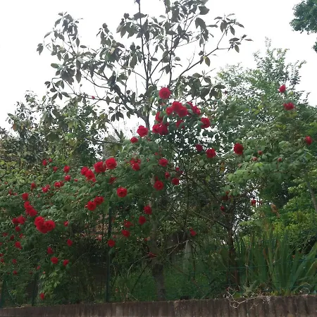 Land & Sea Campofilone